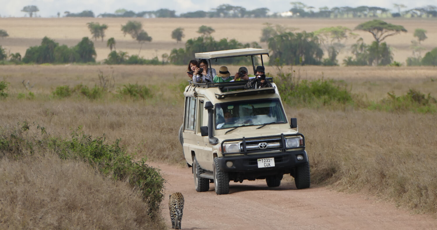 Plan de perfecte rondreis door Tanzania voor de beste safari