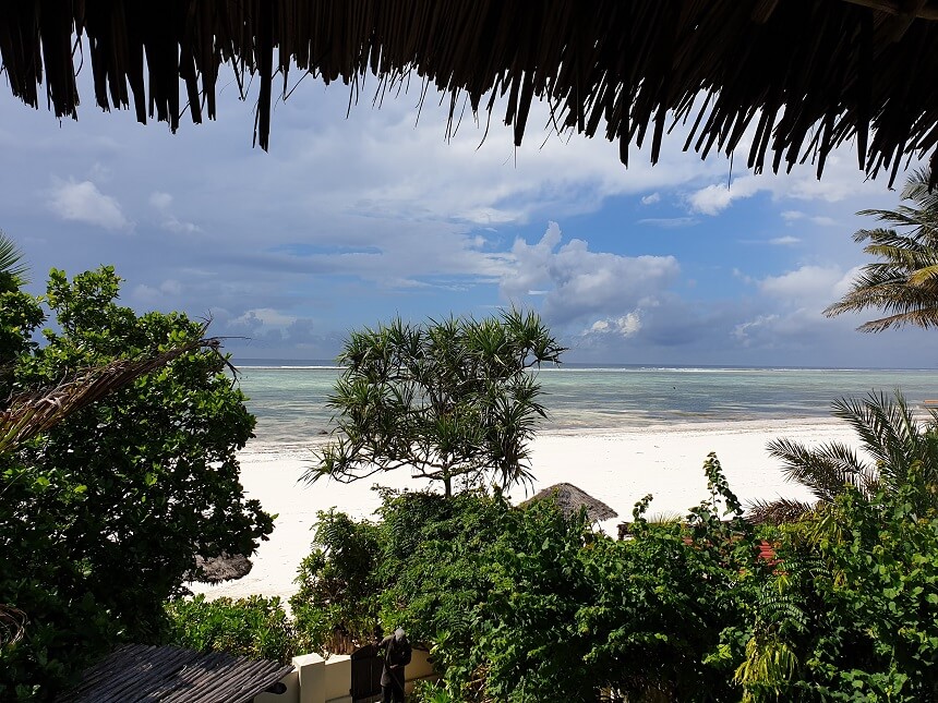 De paradijselijke stranden aan de oostkust van Zanzibar zijn een lust voor het oog