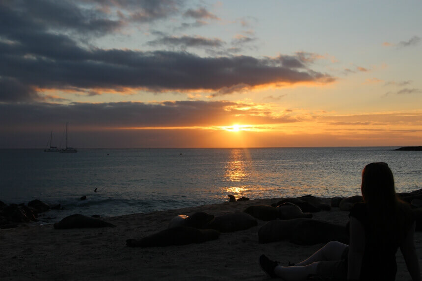 Op Isla San Cristobal kun je de zonsondergang kijken.. op een strand vol wilde zeeleeuwen