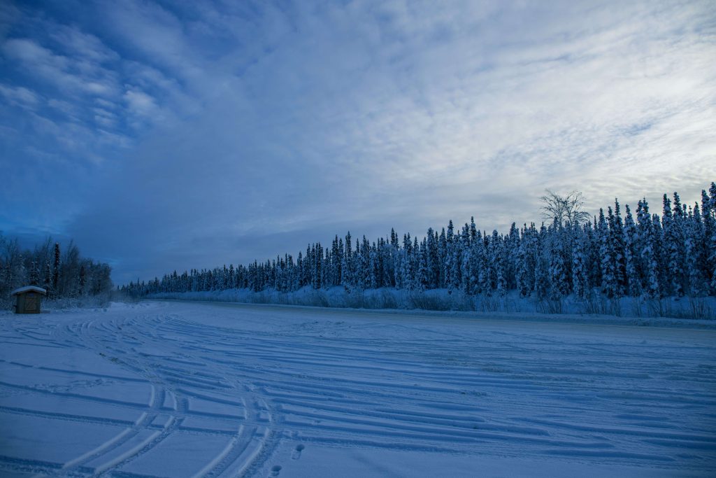 Yukon in de winter