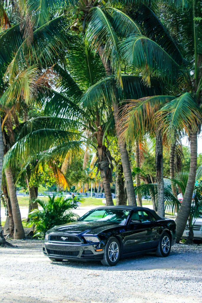 Een Ford Mustang is de ideale wagen voor Florida