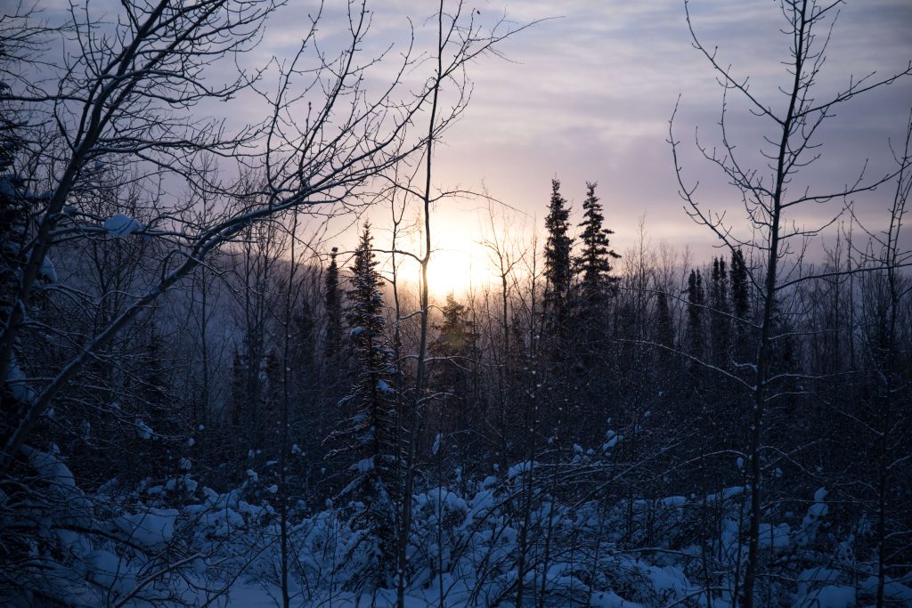 De Dempster Highway door het hart van Yukon in de winter