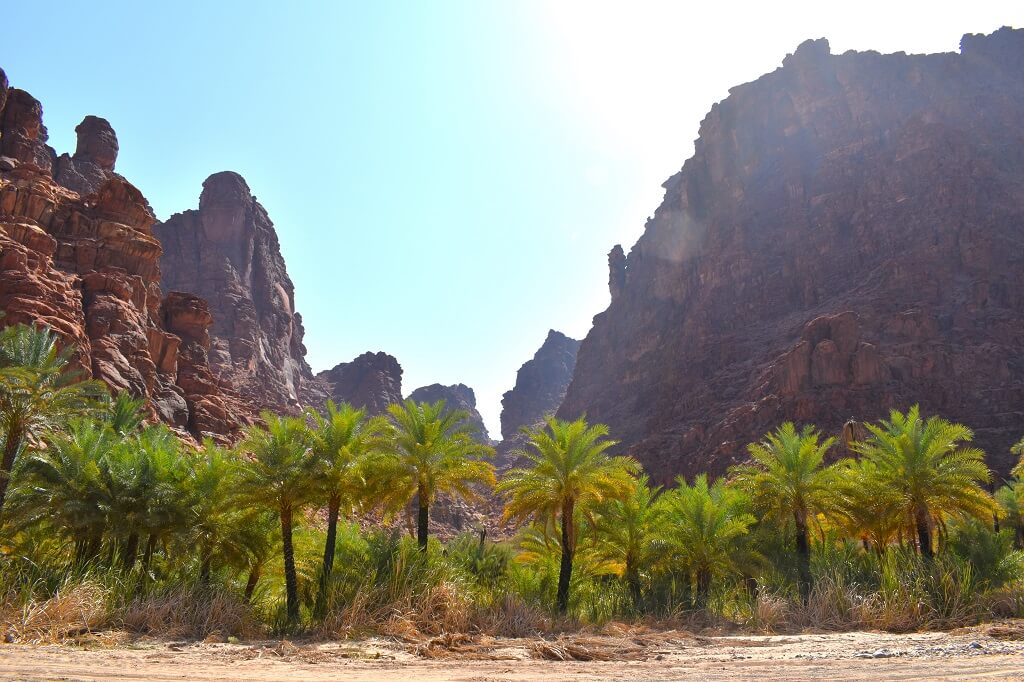 Let op de felle zon als je wandelt door Wadi Disah