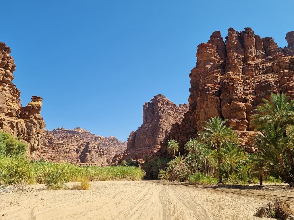 Rode rotsen in de woestijn