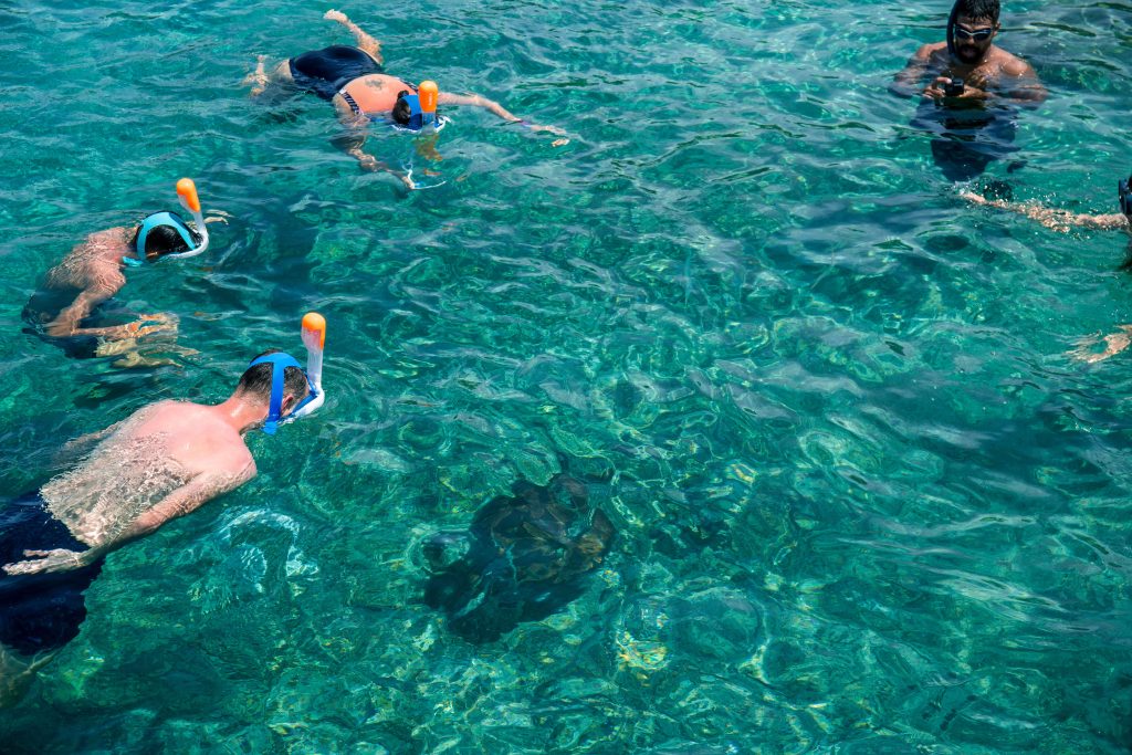 De schildpadden hebben geen moment rust bij Playa Grandi