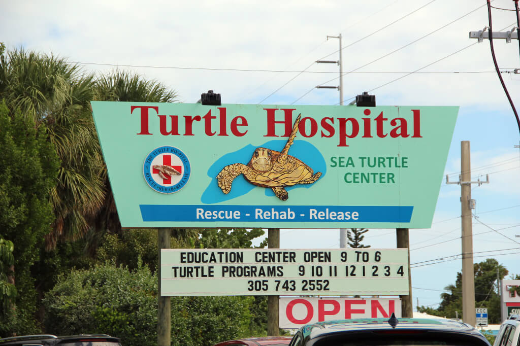 Turtle Hospital Florida Keys