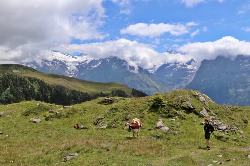 Mooie berglandschappen op de terugweg naar Grindelwald
/