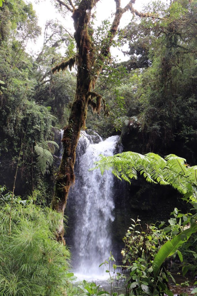 Lost Waterfalls hike
