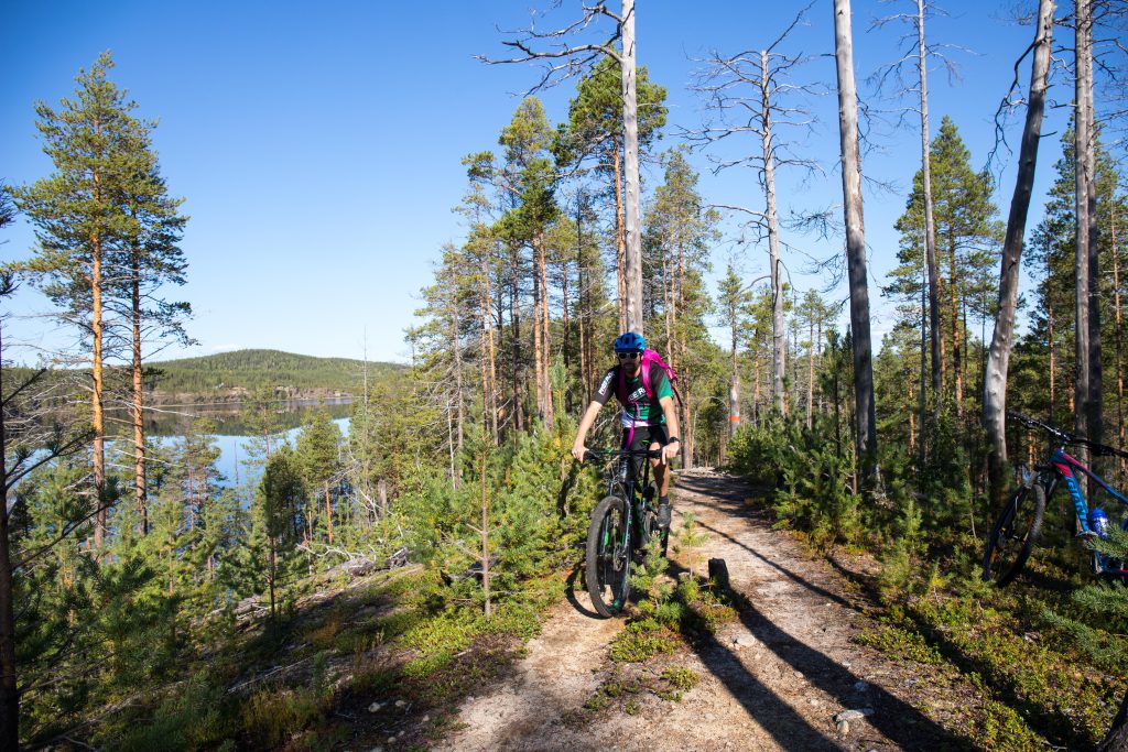 De mooie trails van Zweeds Lapland
