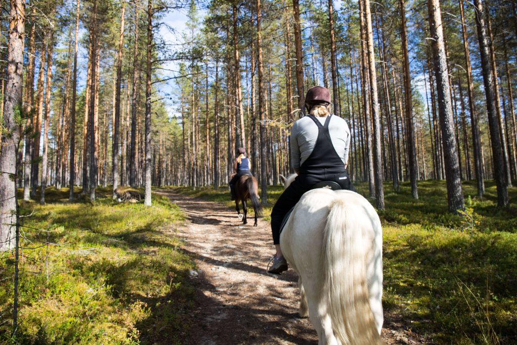 Paardrijden in Zweeds Lapland is een must