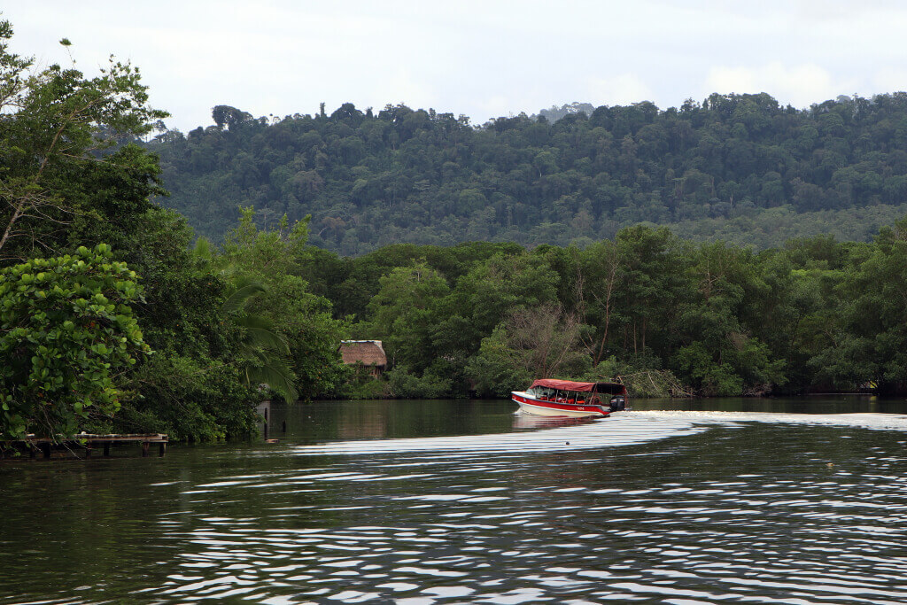 Vanaf het vasteland vaar je vanuit de haven van Almirante in een halfuurtje met de watertaxi naar Bocas Town op Isla Colón.
