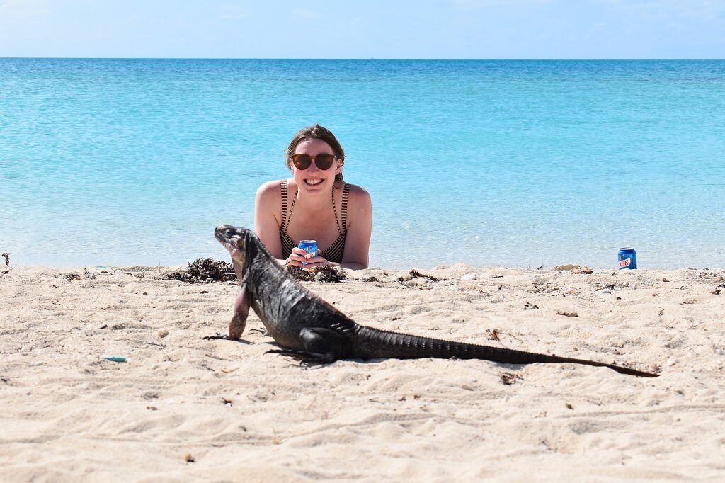 Je kunt lekker chillen met de iguana's op het strand
