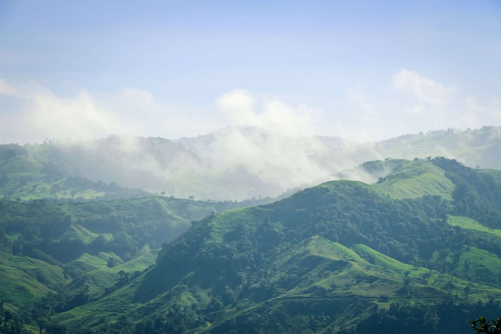 Onbewolkt is het niet vaak in het nevelwoud van Costa Rica.