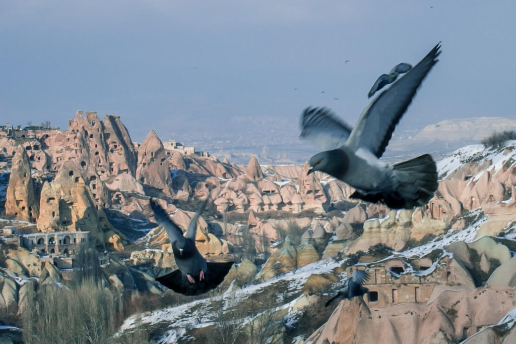 De duiven fladderen je in Pigeon Valley Cappadocië om de oren