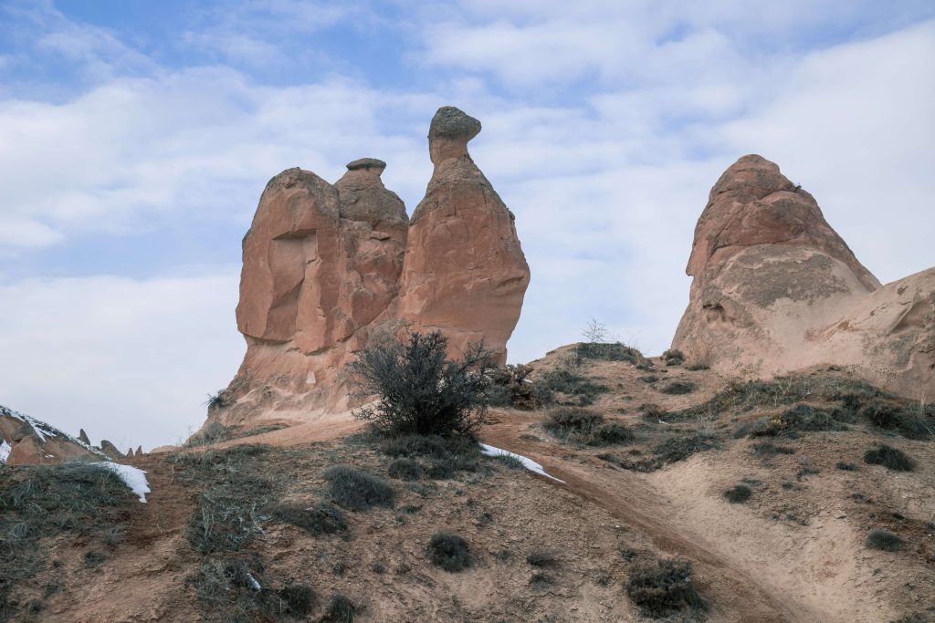 De beroemde slak/ kameel van Devrant Valley Cappadocië