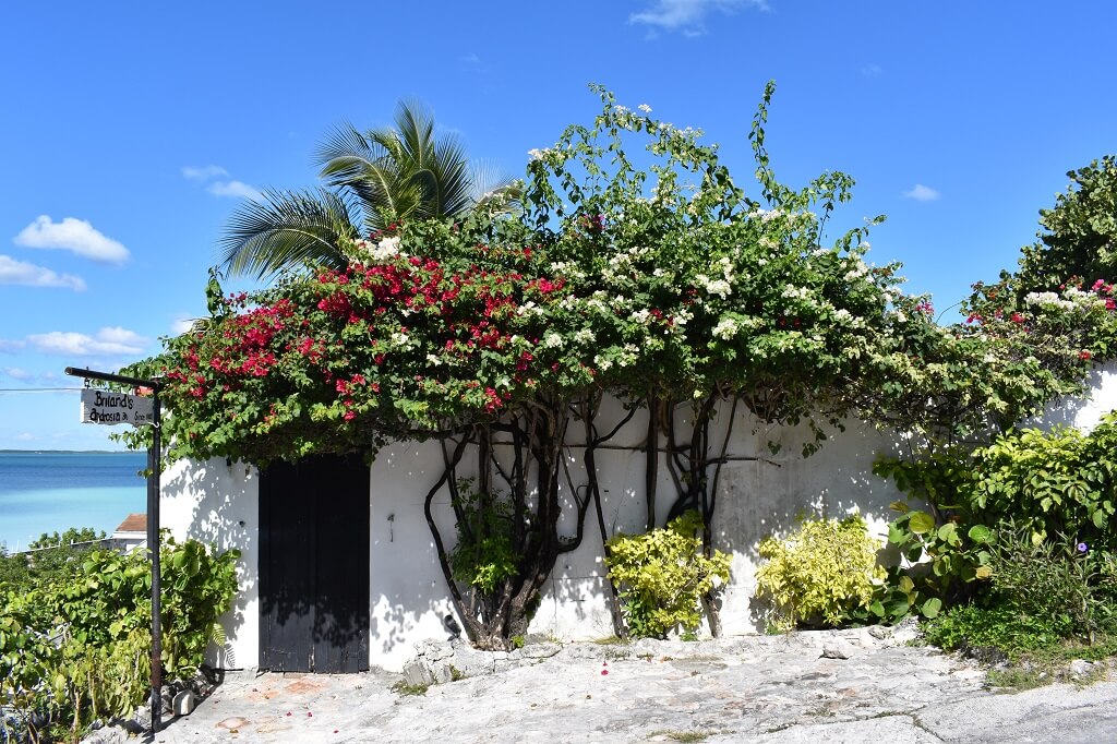 Kleurrijke huisjes op de Bahama's