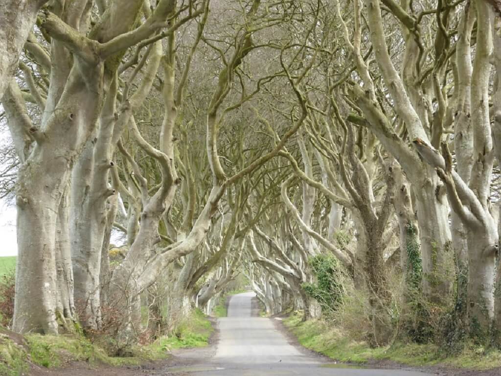 Noord-ierland kent veel beroemde locaties uit Game of Thrones