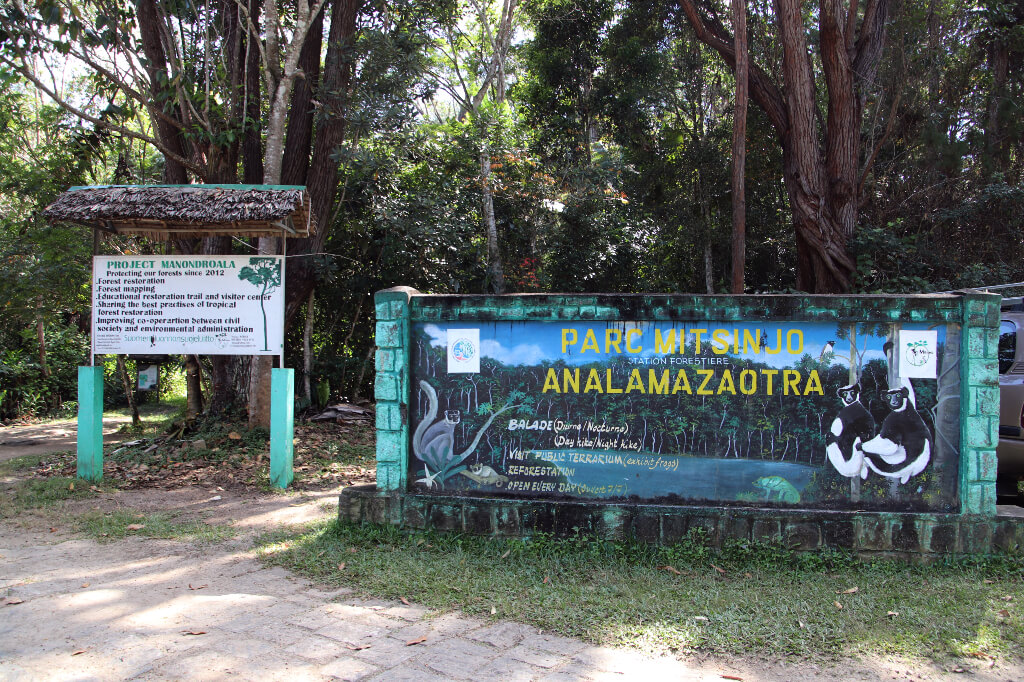 De ingang van het Mitsinjo park ligt bijna tegenover de ingang van het Analamazoatra park. De parken worden gescheiden door een weg. 