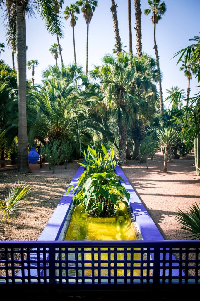 Jardin Majorelle in Marrakech