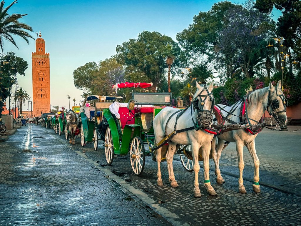 Paarden en koetsjes staan te wachten om aan de slag te gaan bij de Koutabia Moskee