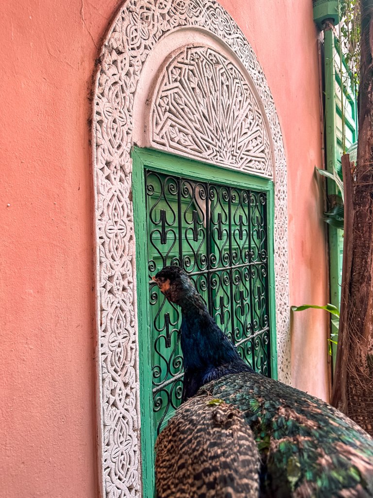 Riad the Bohemian Jungle in Marrakech