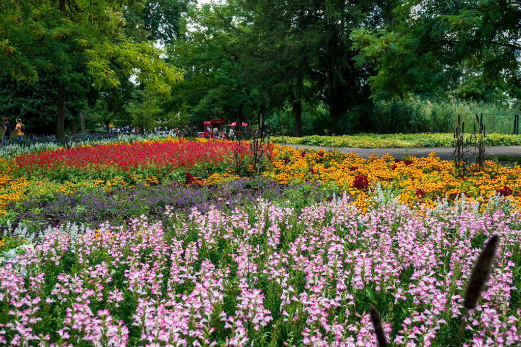 In het Killesberg park vind je kleurige borders met bloemen