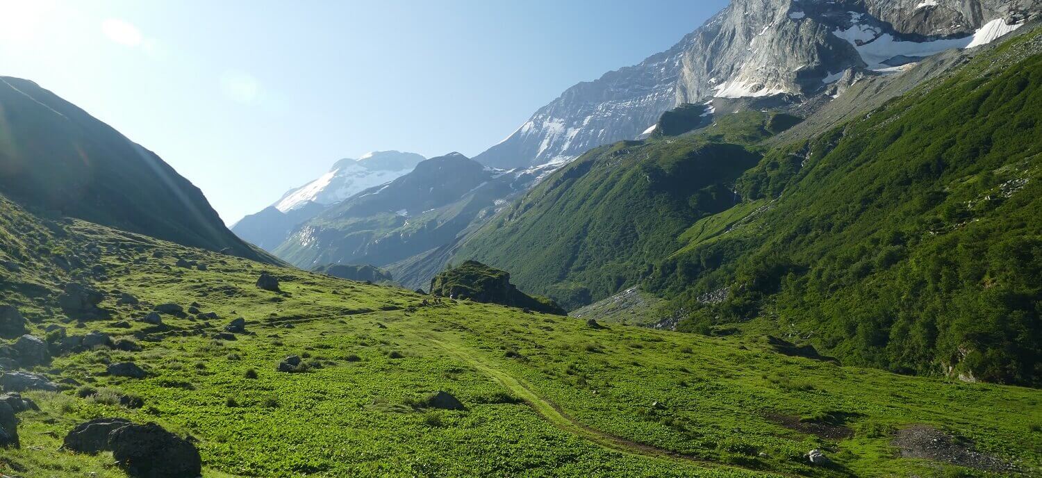 De prachtige groene bergen in de Franse Alpen