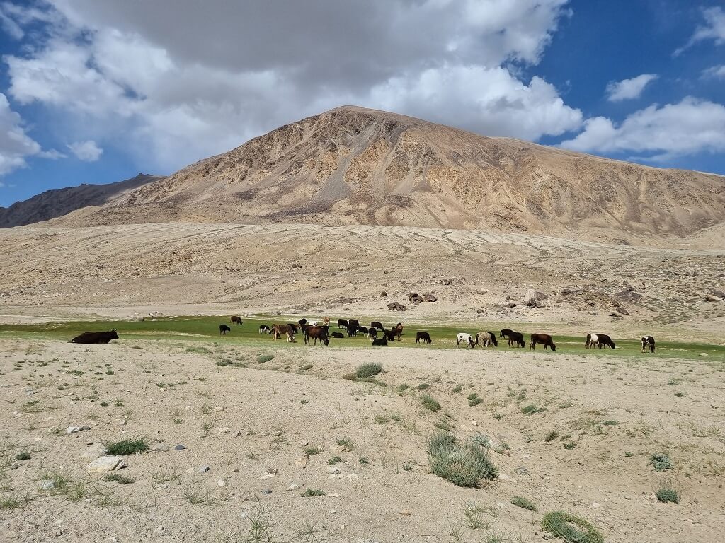 Alles wat je moet weten als je naar Tadzjikistan gaat