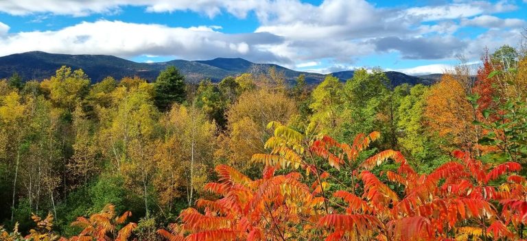De felle kleuren zijn het mooiste aan New England in de herfst