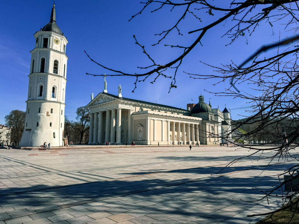 Kathedraal van Vilnius