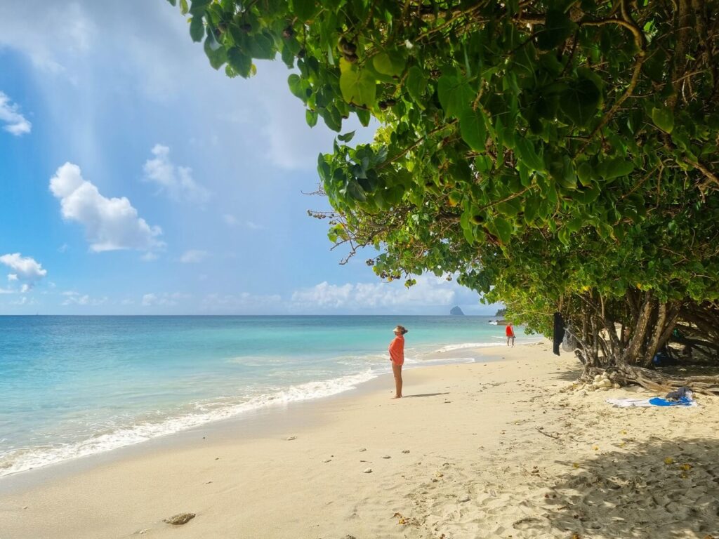 Plage de Sainte Luce is een van de mooiste stranden op Martinique