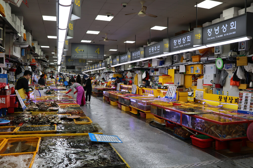 Jagalchi market Busan
