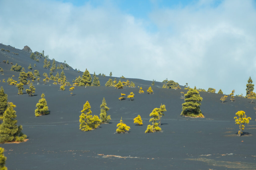 Het bijzondere vulkanische landschap van La Palma