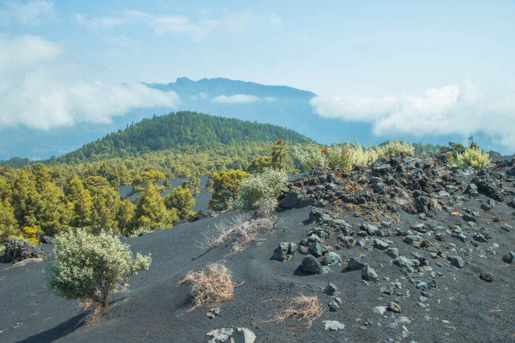 Het bijzondere vulkanische landschap van La Palma