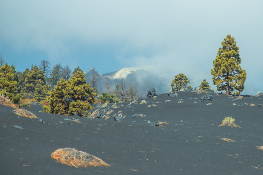 Het bijzondere vulkanische landschap van La Palma