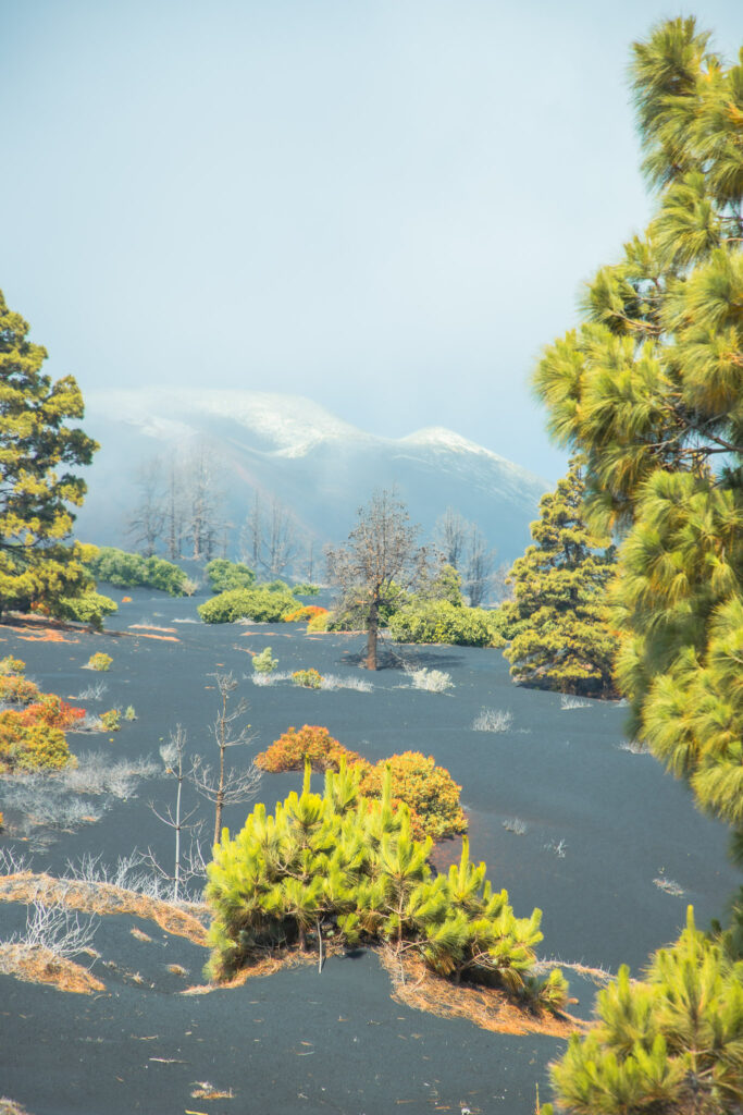 Het bijzondere vulkanische landschap van La Palma