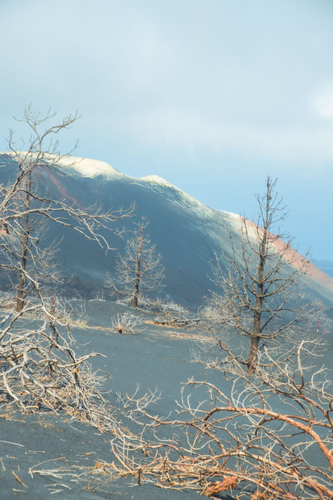 De vulkaan Tajogaite  op La Palma