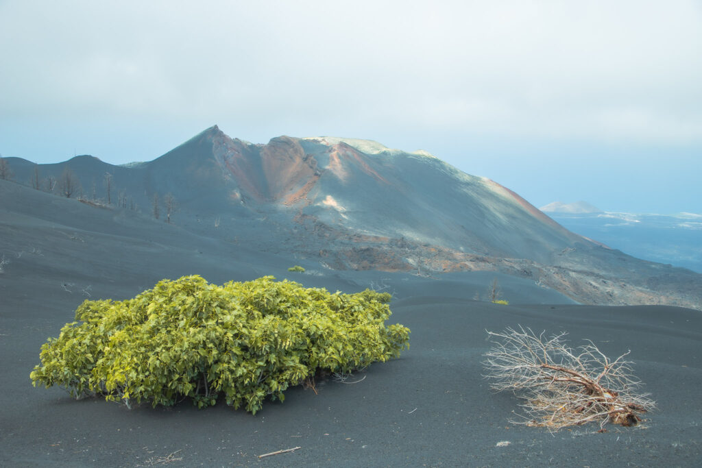 De vulkaan Tajogaite  op La Palma