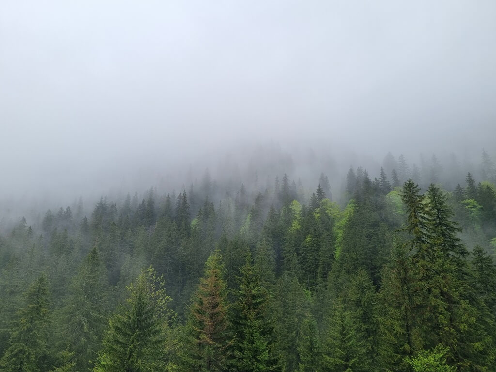Het weer langs de Transfagarasan-weg kan erg slecht zijn