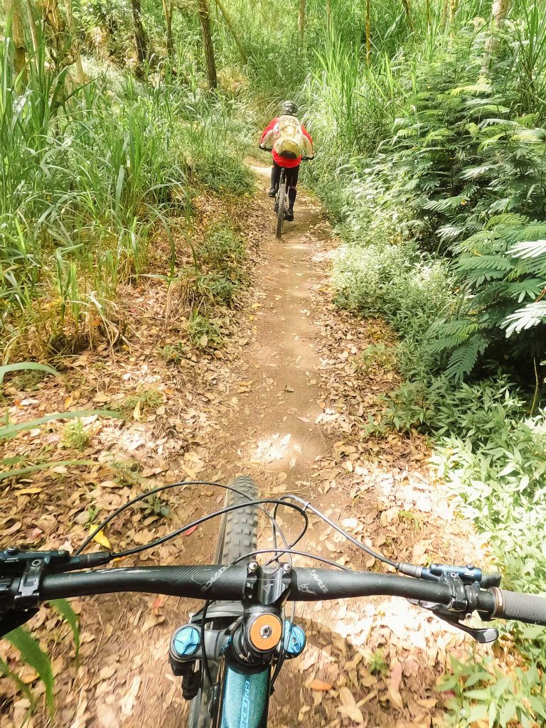 Single tracks door het bos in Bali
