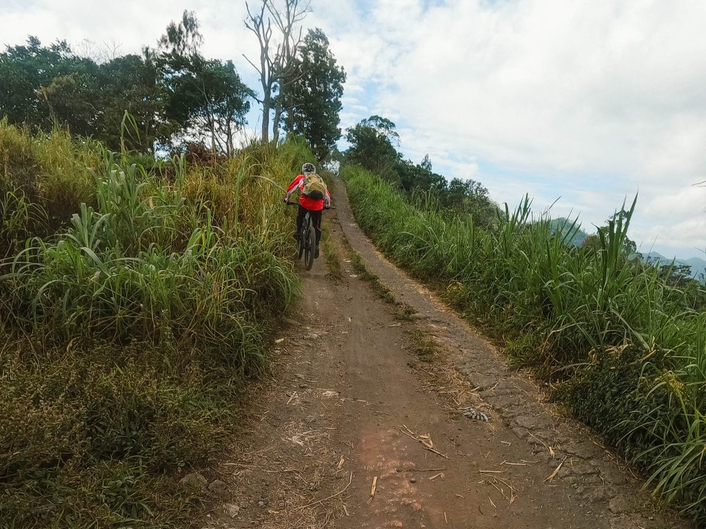 Mountainbiken over singletrails in het bos van Bali