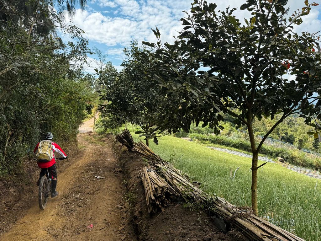 Mountainbiken over singletrails in het bos van Bali