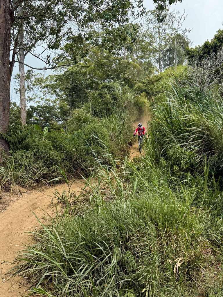 Mountainbiken over singletrails in het bos van Bali