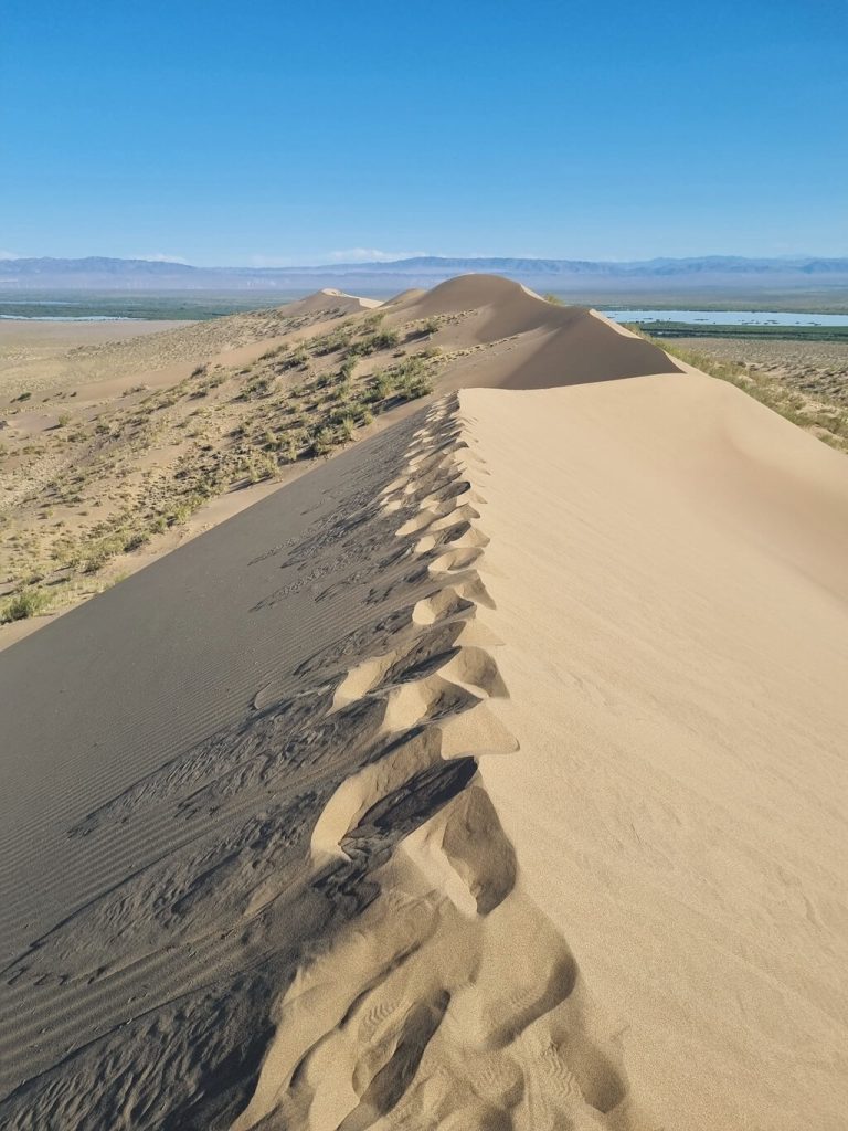 De zandduinen in het zuiden van Kazachstan zijn het beklimmen waard