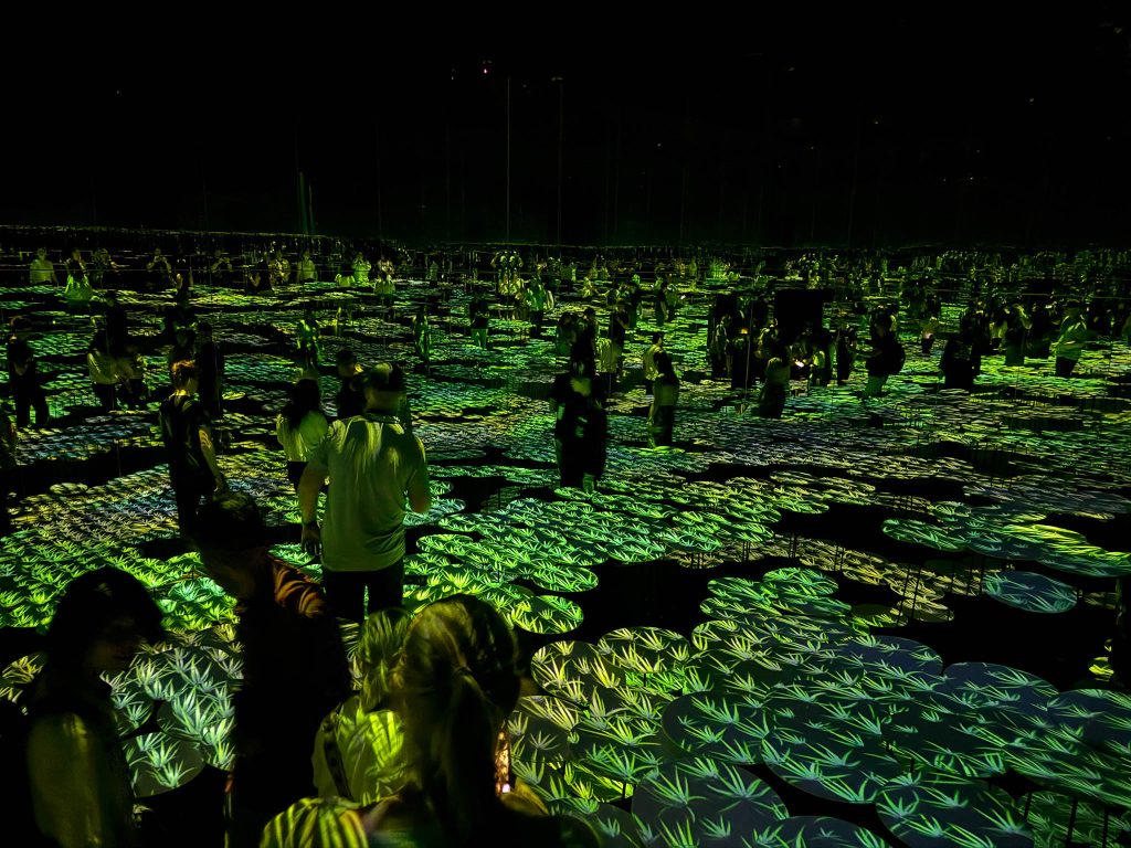 Teamlab borderless Tokio met kinderen