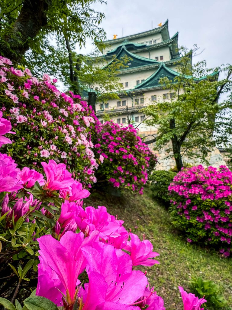 Nagoya Castle in Nagoya