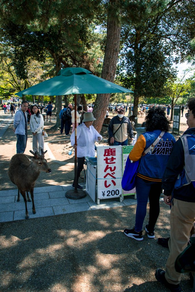 De herten van Nara als uitstapje vanuit Kyoto tijdens een reis Japan met kinderen