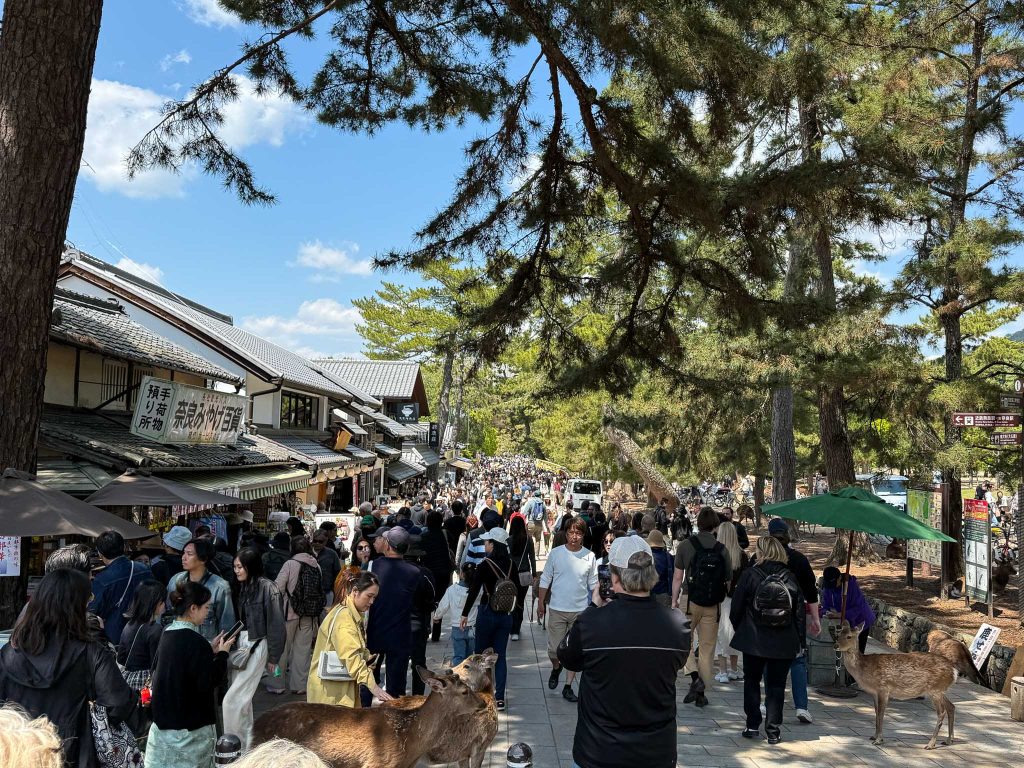 De herten van Nara als uitstapje vanuit Kyoto tijdens een reis Japan met kinderen