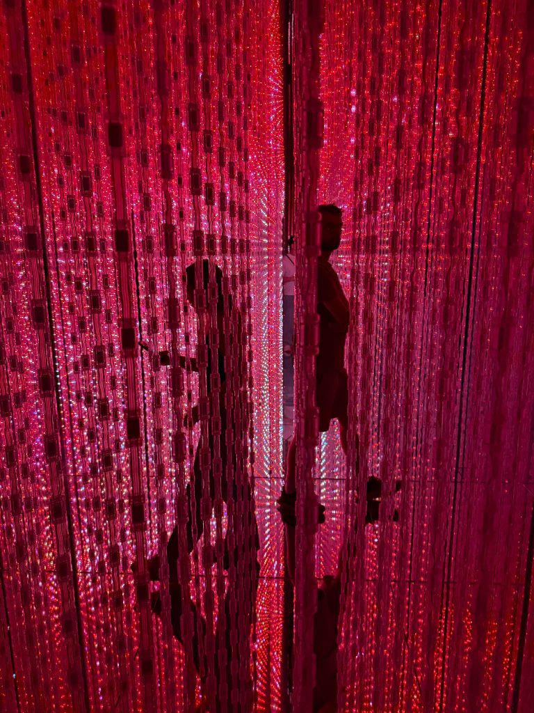 Teamlab borderless Tokio met kinderen