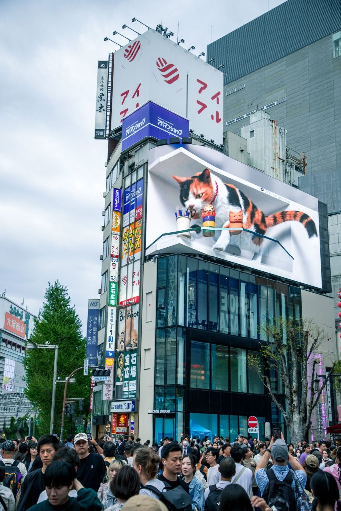 de 3D kat van Shinjuku Tokio